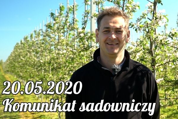 Komunikat sadowniczy 20.05.2020/ ochrona upraw jabłoni i gruszy